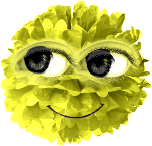 PuffleReal.png