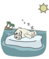 Herbert possivelmente passando pela Ilha Rockhopper.