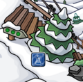A localização do pin.