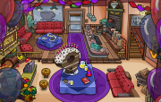 Festa do 9º Aniversário