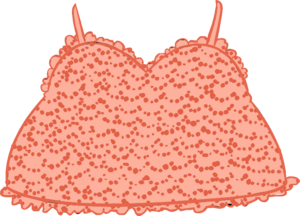 Coral Beach Dress icon.png