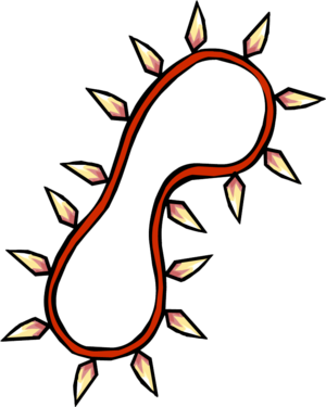 ColarPrimitivo.png