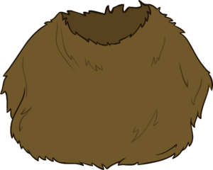 FantasiadeWookiee.png