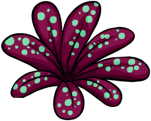 FloraFlorestal.png