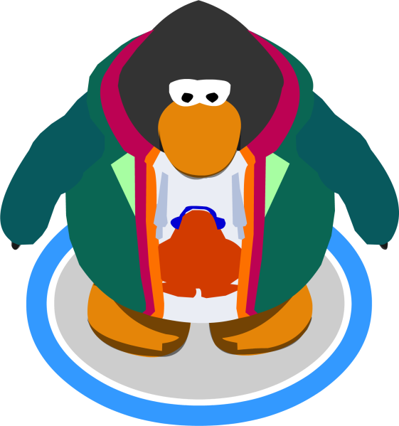 Arquivo:Moletom do Franky no jogo.png