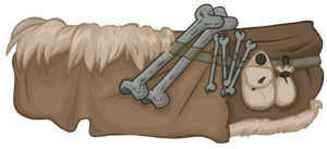 ShortsdePeleCurtida.png