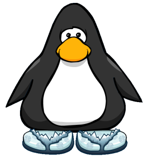 ChinelosGlaciais2.PNG