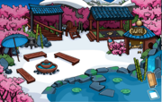 Festa Desafio Ninja Neve