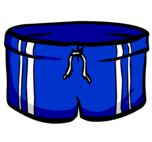 BermudãoAzul.png