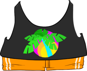 ConjuntoSurfistaEstiloso.PNG