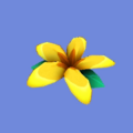 Flor Selvagem