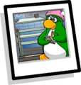 Plano de Fundo Tia Arctic Ao encontrar a Tia Arctic