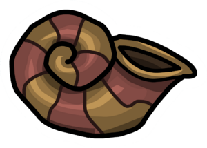 ConchaMarinha.png