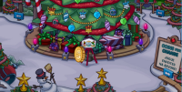 Um Sneak Peek da Floresta.