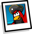 Plano de Fundo do Rockhopper Ao encontrar o Rockhopper